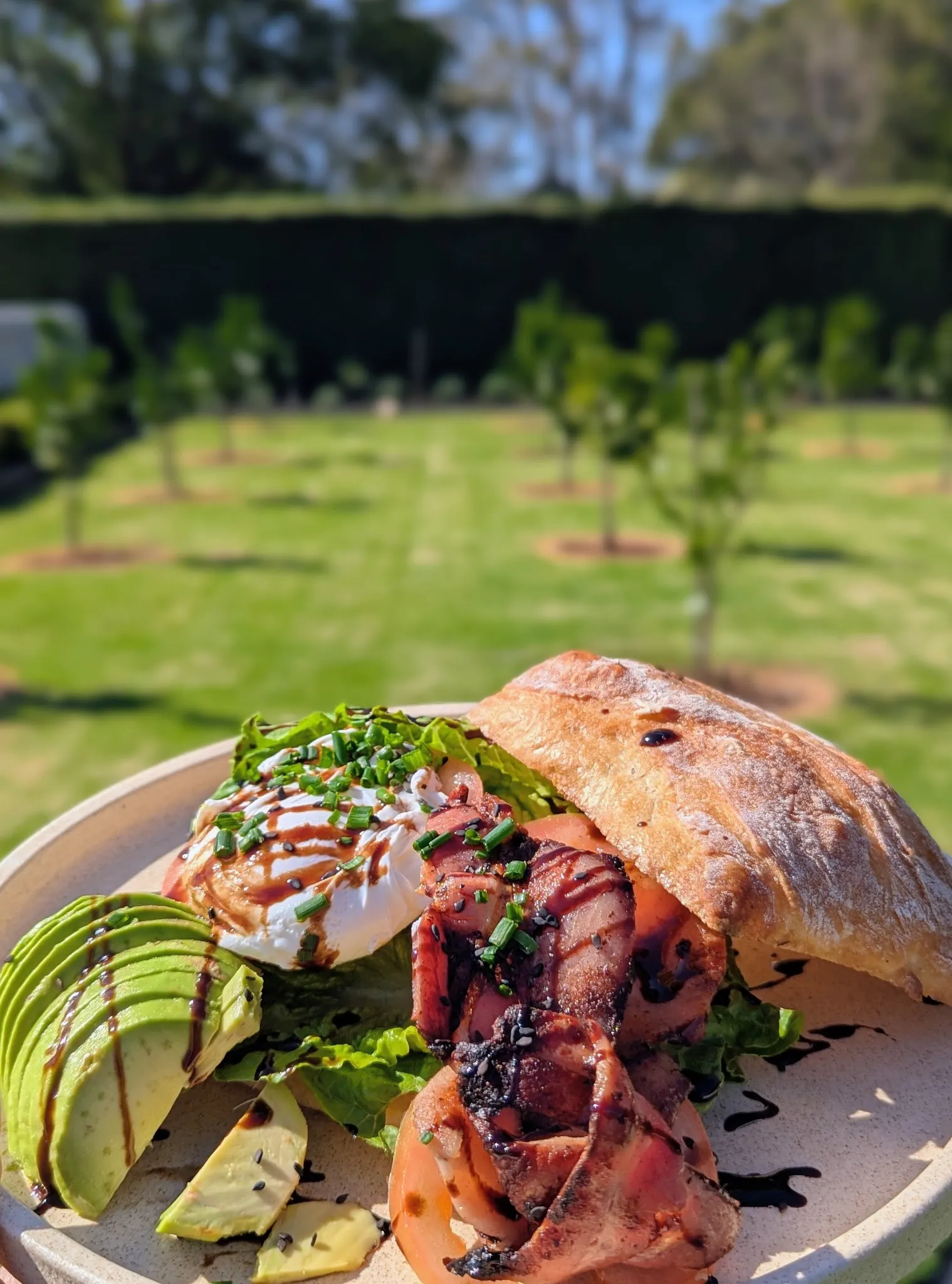 Ciabatta breakfast roll with avocado and poached egg, bright garden backdrop in bokeh